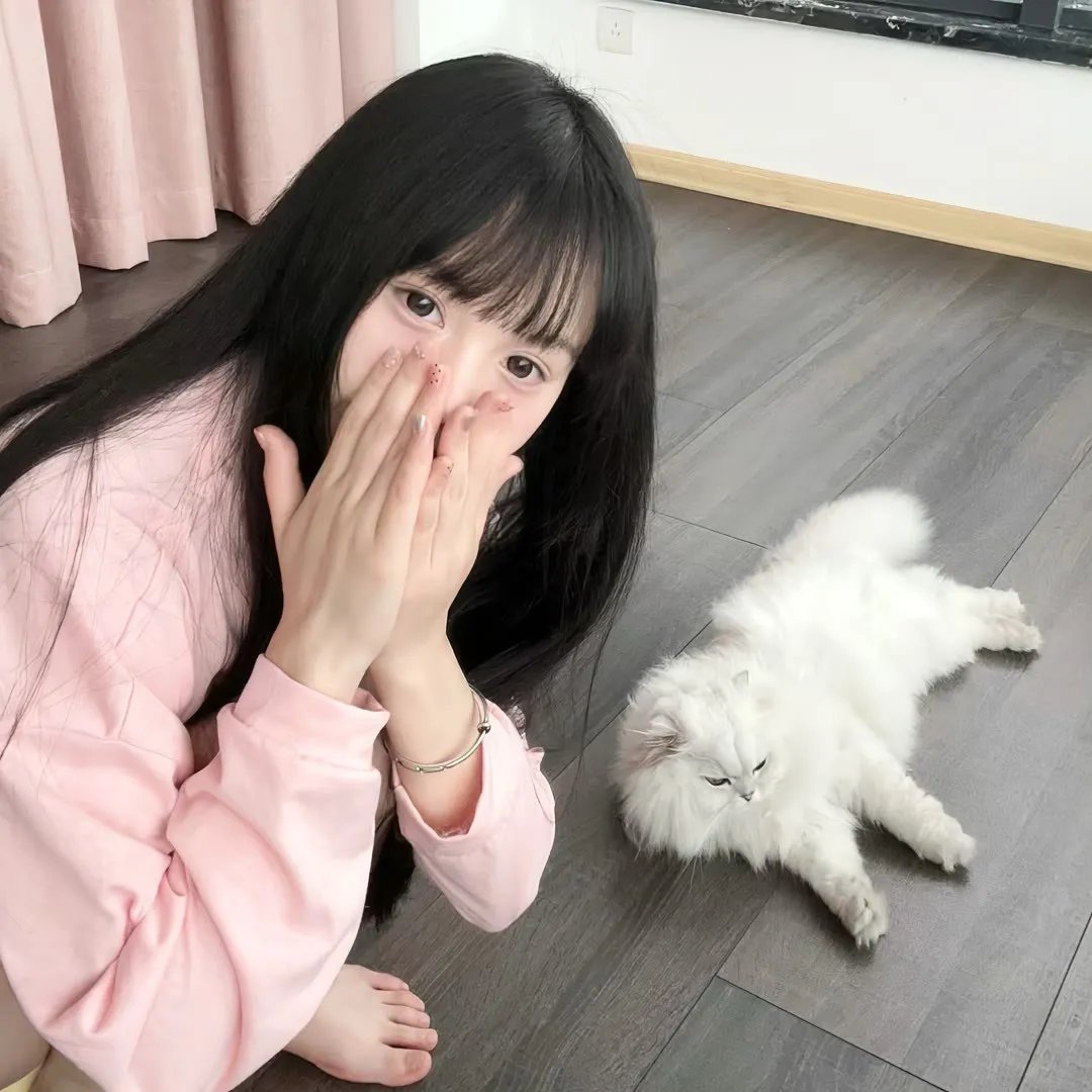 一条安达鲁狗