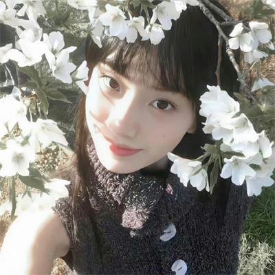 绿绮琴挑
